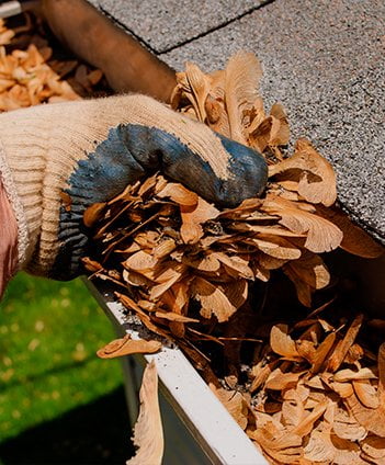 Gutter Cleaning