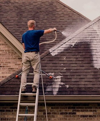 Roof Cleaning Service